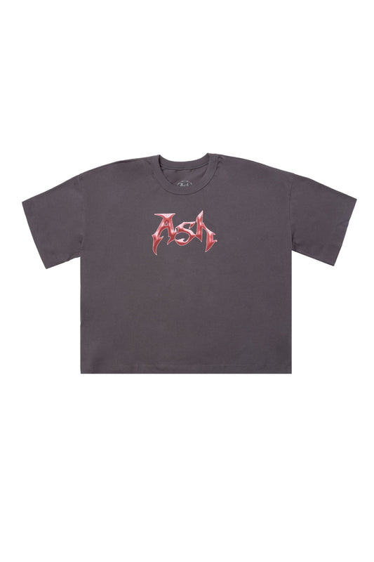 CAMISETA LOGO (cinza)