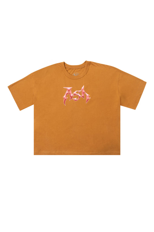 CAMISETA LOGO (marrom)